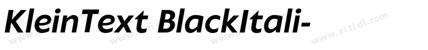 KleinText BlackItali字体转换